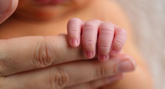 В правительстве Вологодской области обсудили вопросы рождаемости