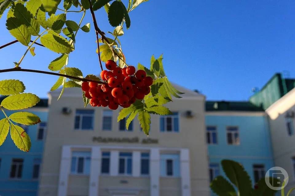 69 малышей появились на свет в волгоградском роддоме