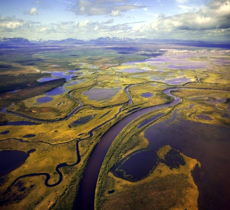 Губернаторская елка соберет в Салехарде более 300 школьников