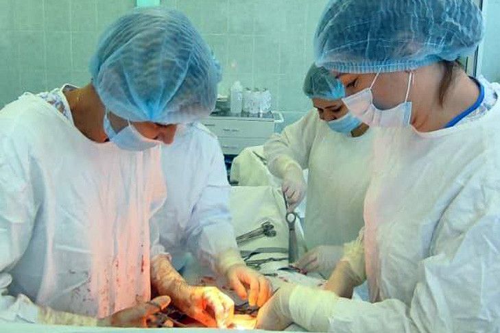 Миому размером с арбуз удалили хирурги жительнице Новосибирска