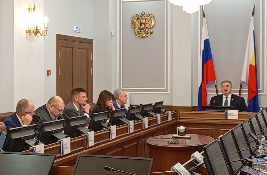 В донском парламенте обсудили тарифы на электричество и микропластик в плаценте беременных женщин