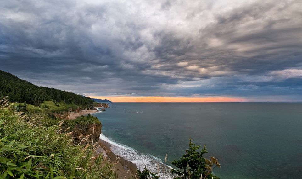 Сегодня в России отмечается День многодетной семьи