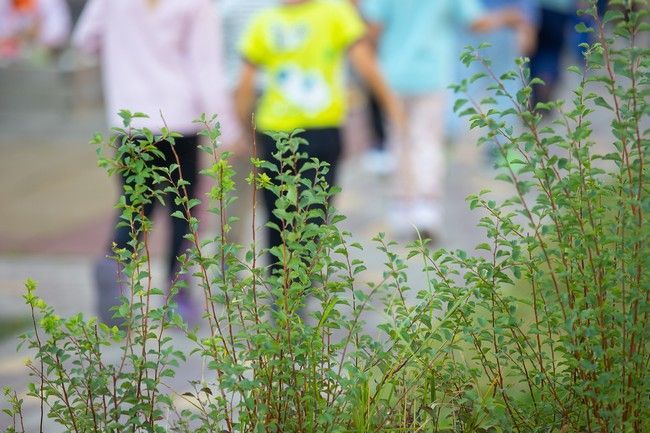 В Курской области зарегистрировано более 13 тысяч многодетных семей