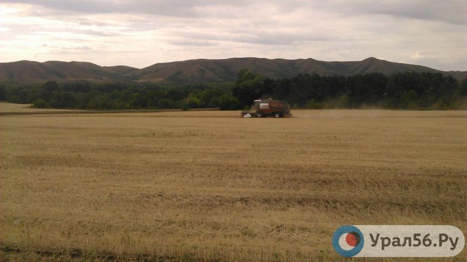 Многодетным семьям предлагают землю за десятки километров от Оренбурга