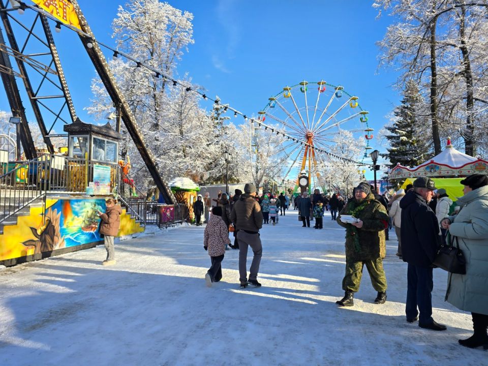 Многодетные семьи Тамбовской области могут оформить бесплатные билеты на зимние аттракционы