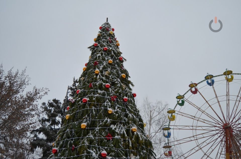 Многодетные семьи Тамбова получат бесплатные билеты на зимние аттракционы
