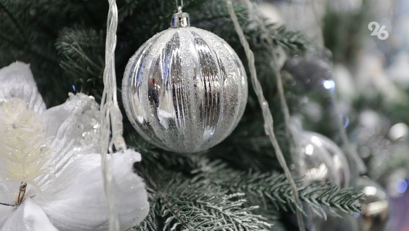 Многодетная семья участника СВО из Михайловска побывала на губернаторской ёлке