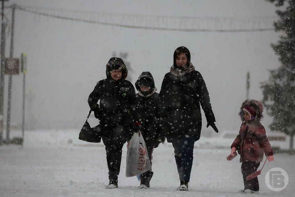 В Волгограде семьям с детьми в 2026 году обещают крупные выплаты