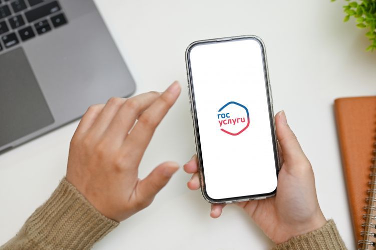 Установить статус многодетной семьи можно через портал «Госуслуги»