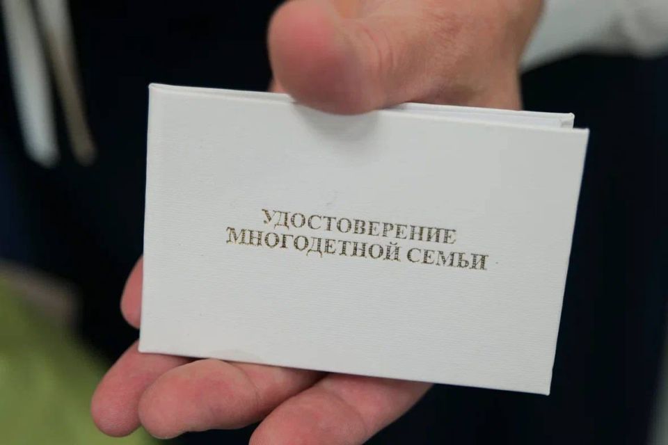 Саратовцам рассказали, как можно получить удостоверение многодетной семьи нового образца