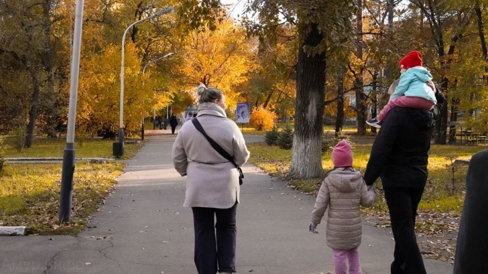 В Амурской области растет количество многодетных семей