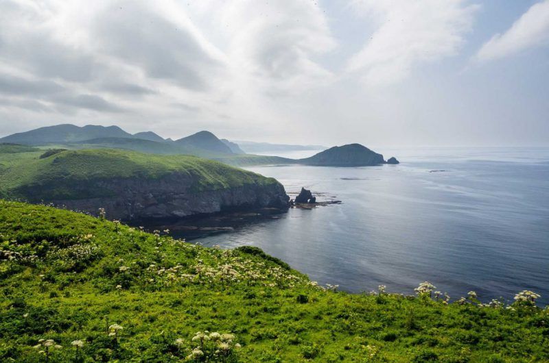 Дед Мороз и волонтёры поздравили с Новым годом пациентов областной детской больницы на Сахалине