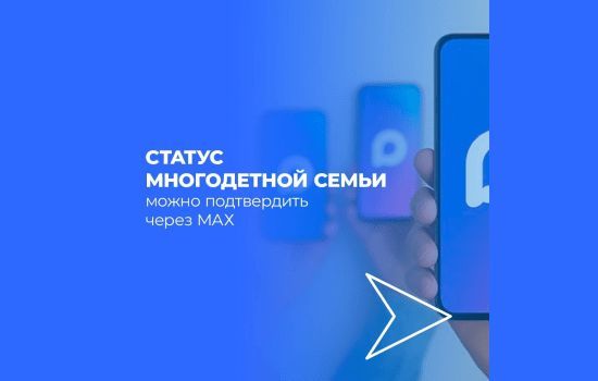 Подтвердить льготы многодетной семьи можно через приложение МАХ
