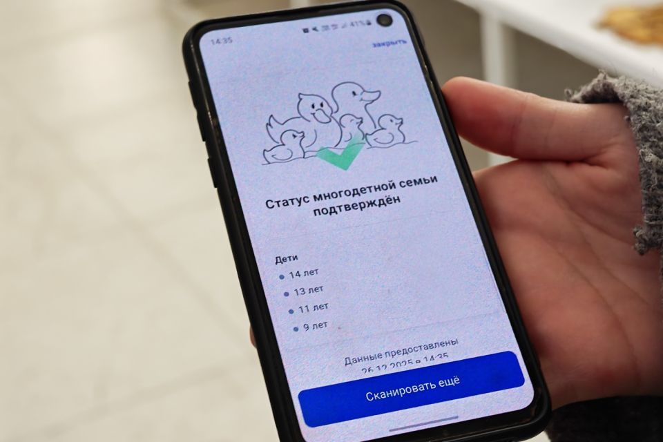 Пензенские многодетные семьи могут подтвердить свой статус QR-кодом