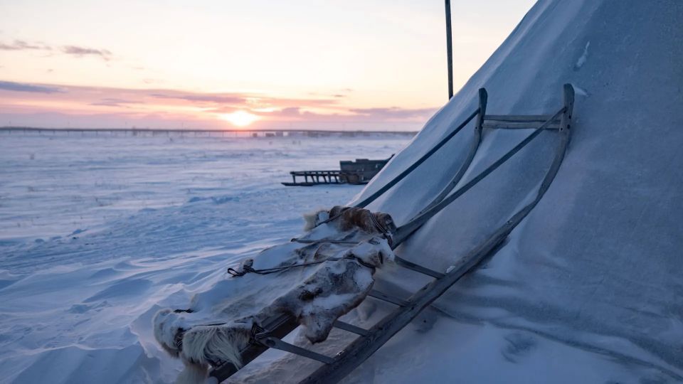 Многодетной семье сделали «?чумовой» подарок под Новый год