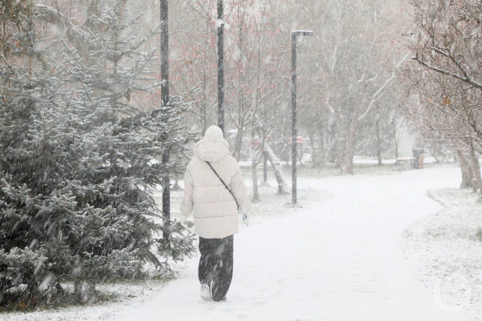 В Волгоградской области 1 января вступят в силу новые законы