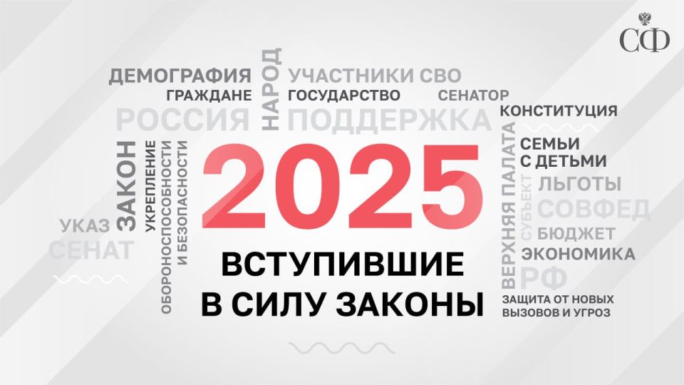 В 2025 году работа Совета Федерации была сосредоточена на главных для страны задачах — поддержке участников СВО и их семей, помощи семьям с детьми, развитии демографии и социальных инициатив