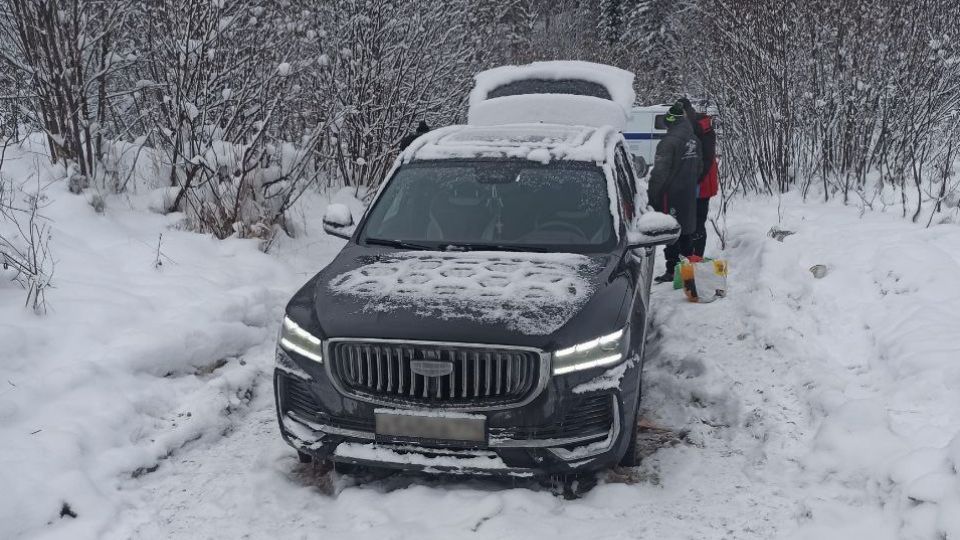 На Южном Урале семья с детьми застряла ночью в лесу в автомобиле
