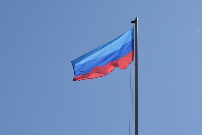 В ЛНР свыше 8,1 тыс. семей оформили сертификаты на маткапитал в 2025 году