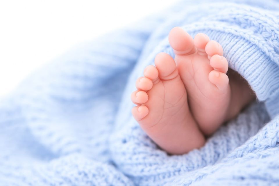 Ввоз детского питания известной марки в Россию остановлен