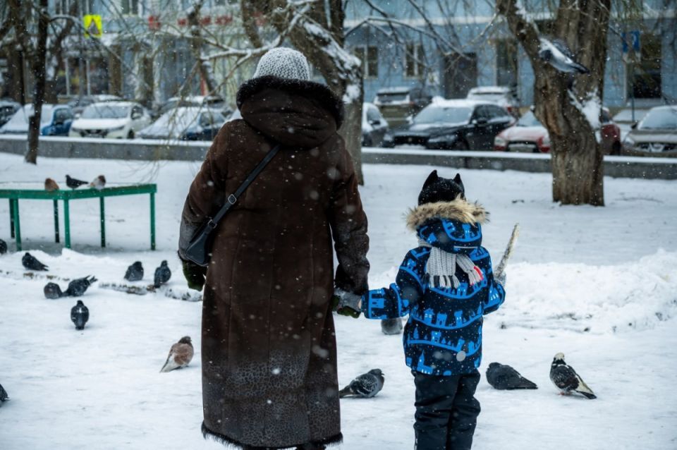 Пособие для малоимущих семей Челябинской области оформят по новым правилам