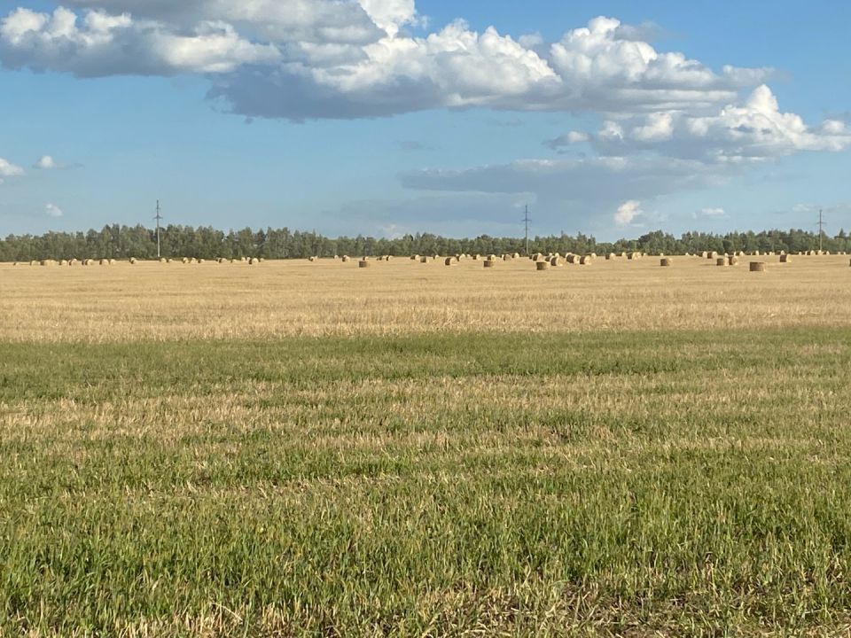 В Госдуме предложили обеспечивать участки для многодетных инфраструктурой