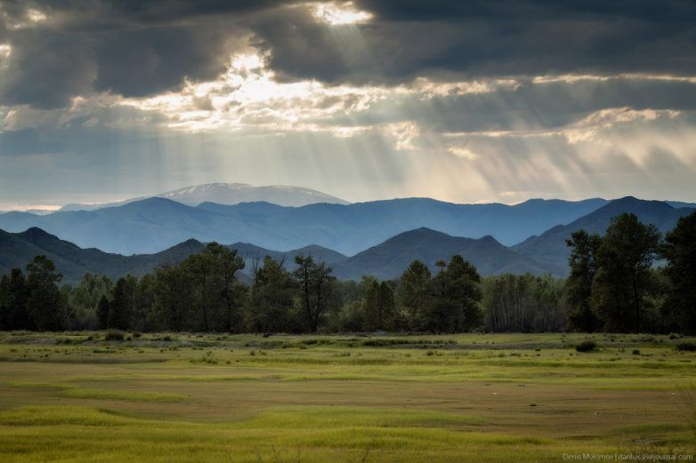 Законы, вступающие в силу в новом году