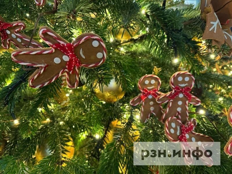 Стало известно, где в Рязани можно утилизировать живую елку