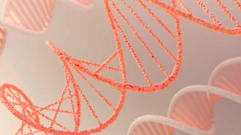 Генетические тесты для планирующих беременность станут бесплатными