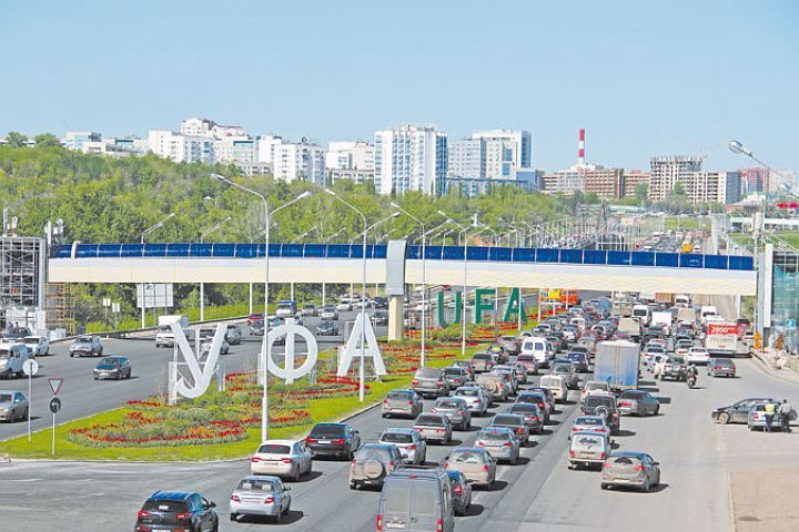 Подтвердить льготы многодетной семьи можно через приложение МАХ