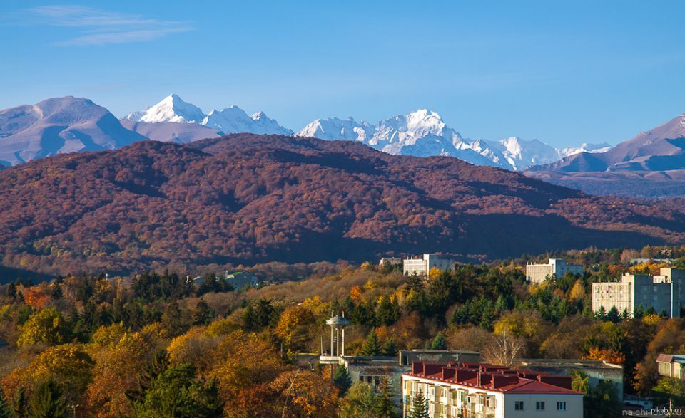 Минтрудсоцзащиты сообщает