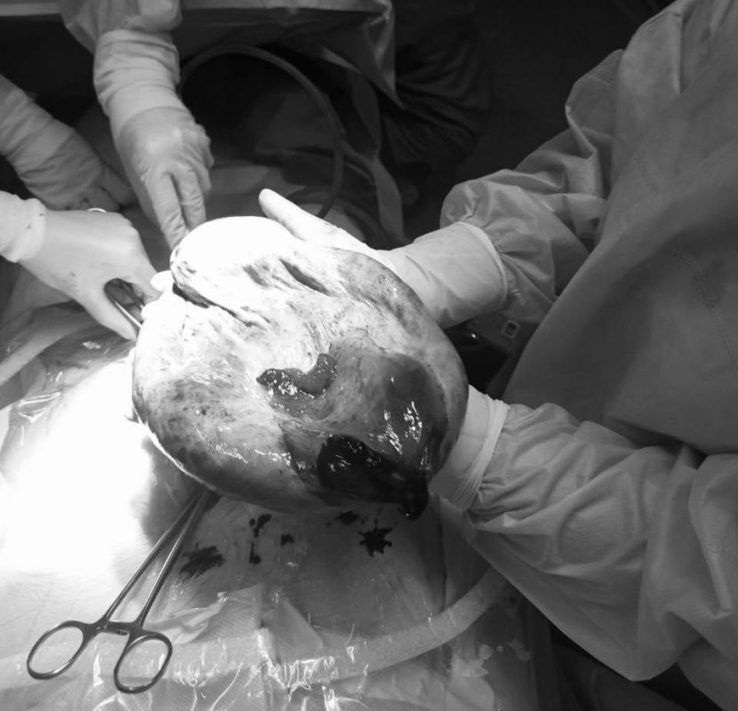 Осторожно, медицинский контент!