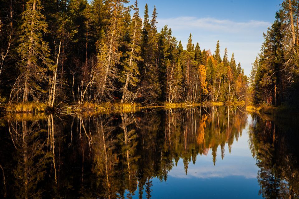 Минздрав Карелии информирует о режиме работы городских поликлиник Петрозаводска в выходные дни