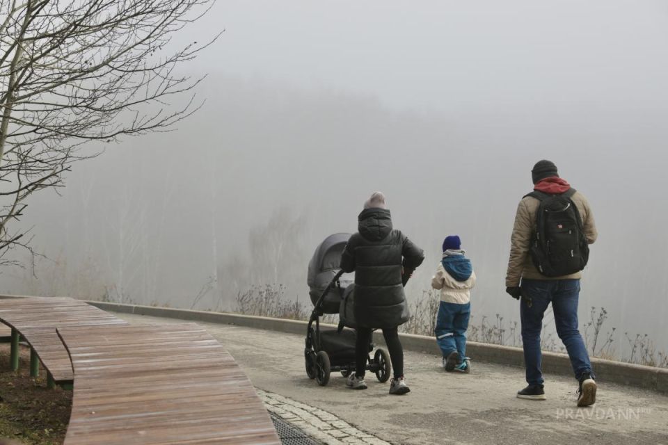 Стало известно, какие социальные выплаты проиндексируют в феврале в России