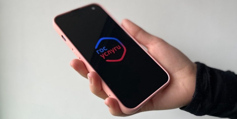 Вологодская область вошла в ТОП-10 регионов России по оценке электронных услуг