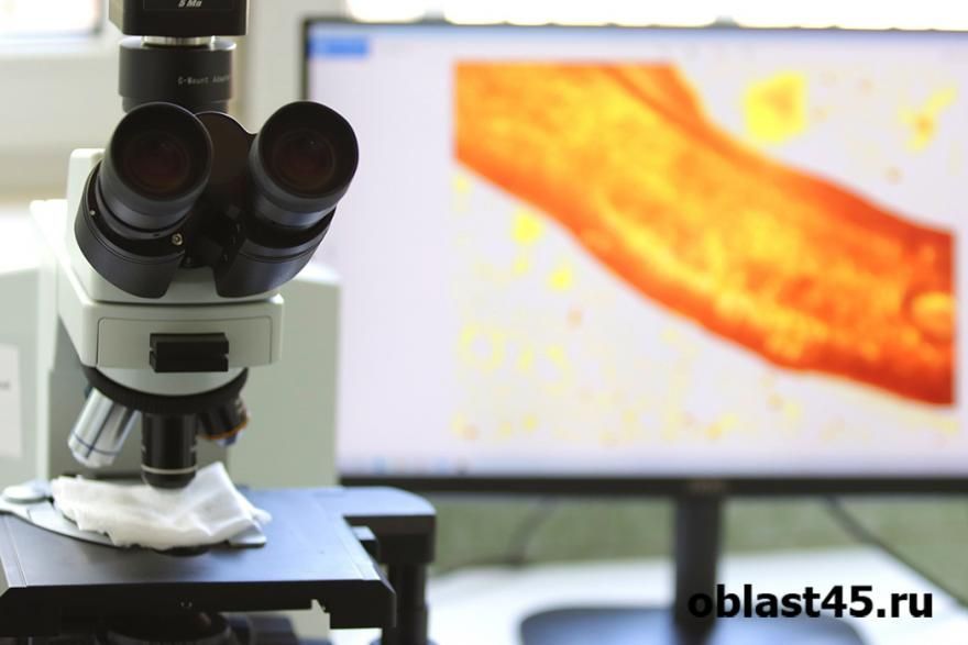 Курганцы смогут сдать тест на ВПЧ бесплатно