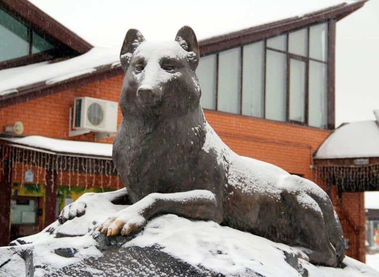 В ижевском зоопарке не стали ограничивать льготное посещение для многодетных семей