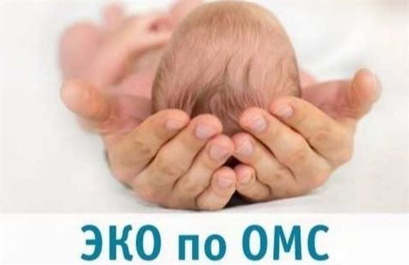 В 2025 году процедуры ЭКО проведены 604 жительницам Ульяновской области