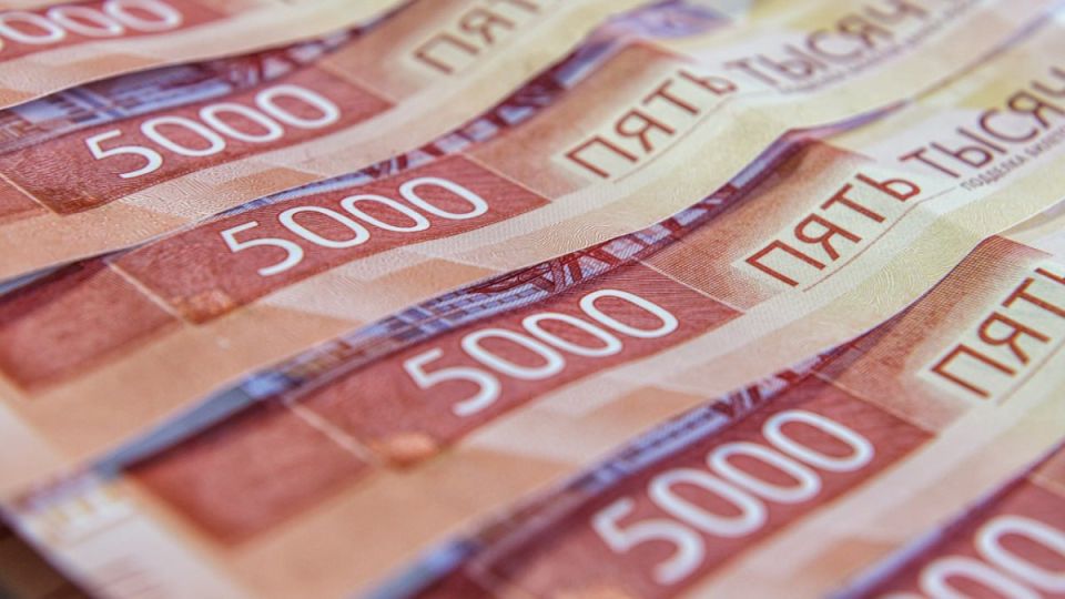 В Самаре 6 женщин придумали 8 детей для маткапитала на 4,2 млн рублей