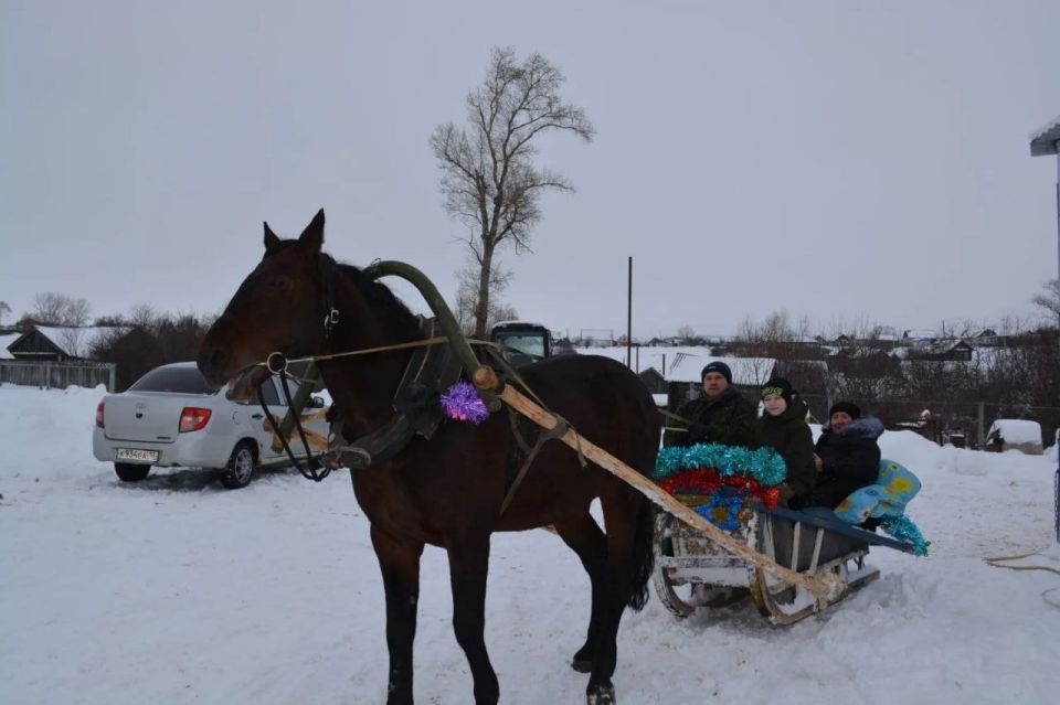 Многодетная семья Латышевых живет в дубенском селе Поводимово уже больше двух лет