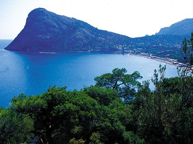 Сегодня 12 крымских семей стали многодетными