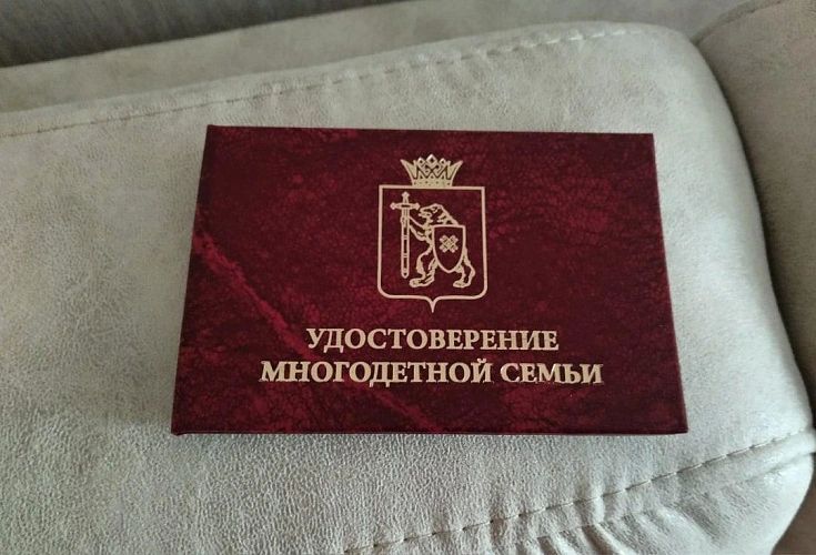Вологжанам напомнили о важности замены удостоверения многодетной семьи для получения всех мер поддержки