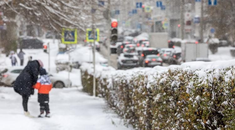 В Белгородской области увеличили размер регионального маткапитала, сообщил губернатор