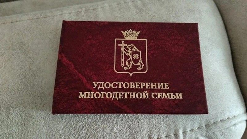 Вологжанам необходимо обновить удостоверения многодетных семей для получения льгот