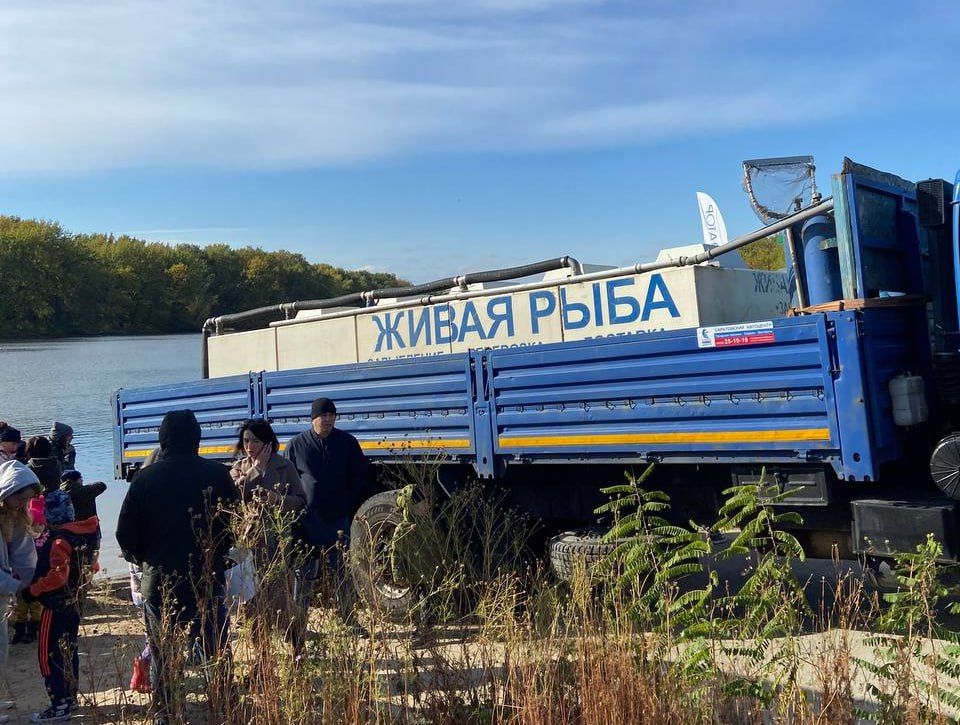 Саратовцев зовут "поохотиться" на пластиковые крышки