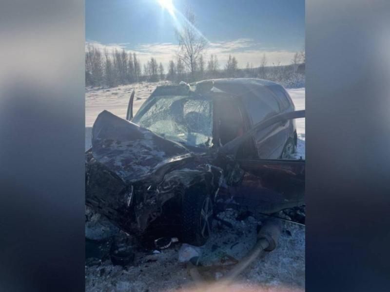 Пострадавшую в ДТП трехлетнюю девочку вертолет санавиации доставил в Рязань