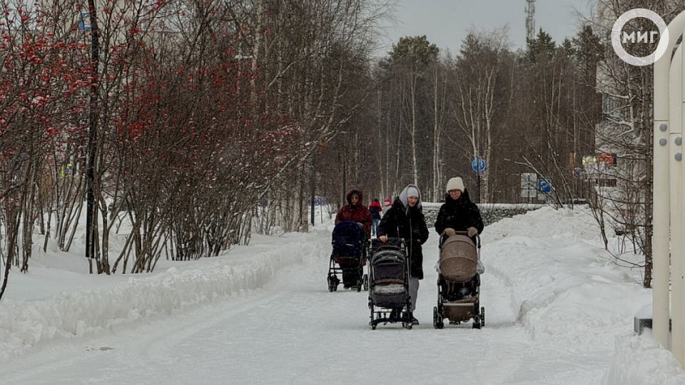 36-тысячный сертификат на региональный маткапитал вручил губернатор Ямала