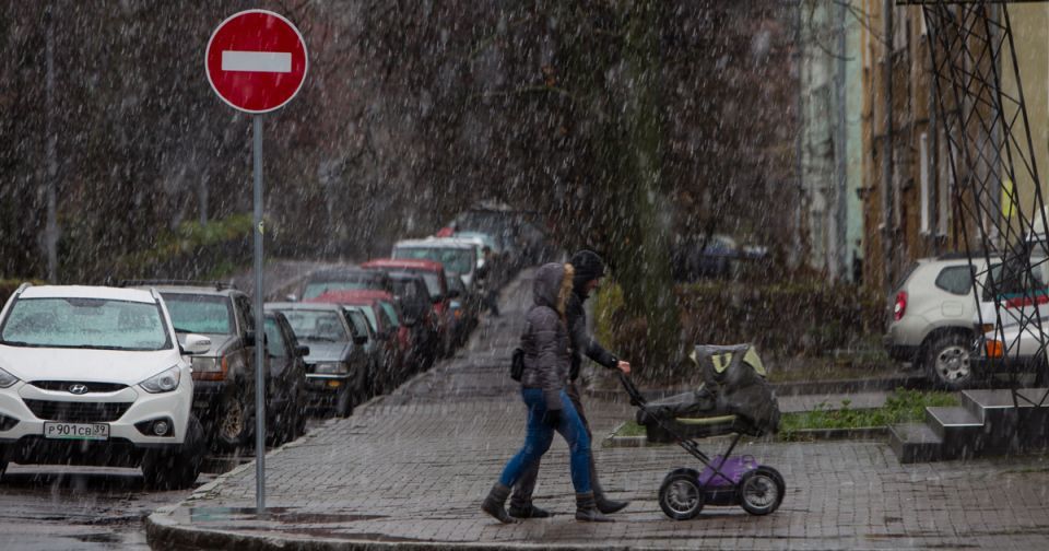 Жильё, выплаты и учёба: как калининградцы использовали маткапитал в 2025 году