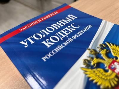 Фальшивые свидетельства о рождении детей принесли жительнице Петровска 1,8 млн рублей
