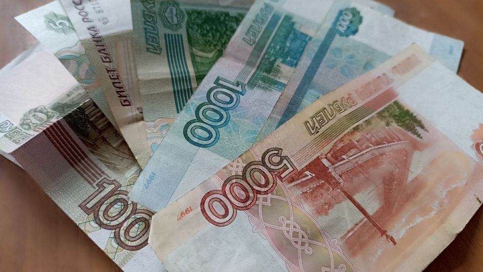 В Рязанской области разрешат использовать региональный маткапитал для оплаты услуг няни